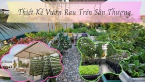 thiết kế vườn rau trên sân thượng