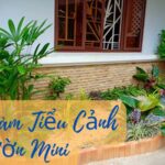 cách làm tiểu cảnh sân vườn mini