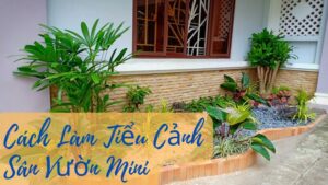 cách làm tiểu cảnh sân vườn mini