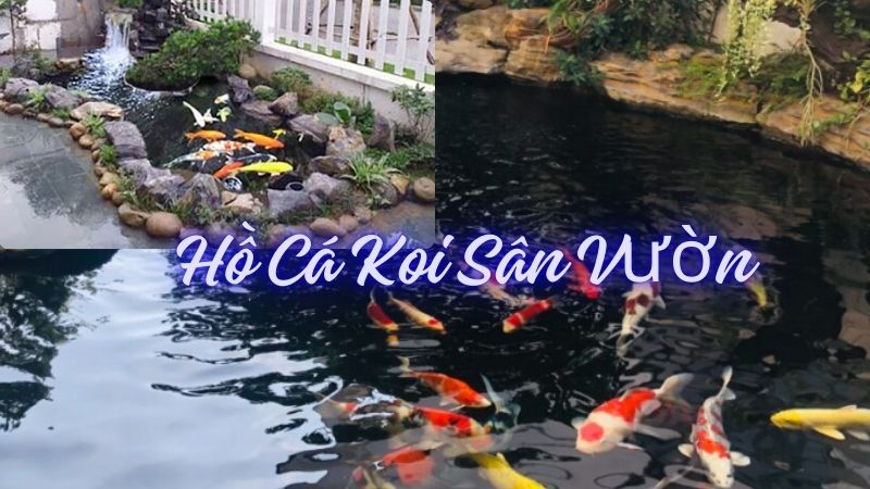 hồ cá koi sân vườn