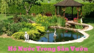 hồ nước trong sân vườn