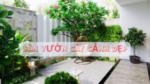 sân vườn cây cảnh đẹp