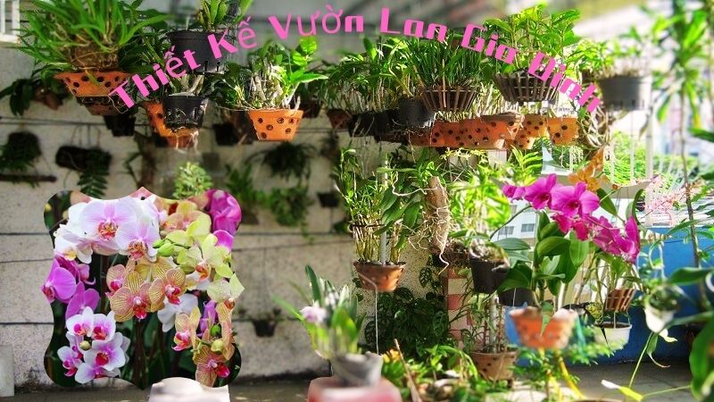 thiết kế vườn lan gia đình