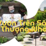 vườn trên sân thượng nhỏ