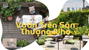 vườn trên sân thượng nhỏ